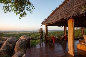 Safari de luxe en Tanzanie